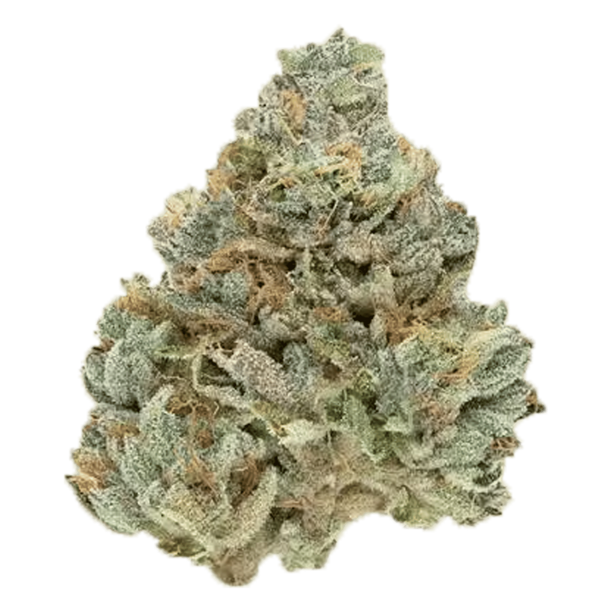 Casino Kush - Flower - CBX Cannabiotix - Eighth - $54.99 - Flower