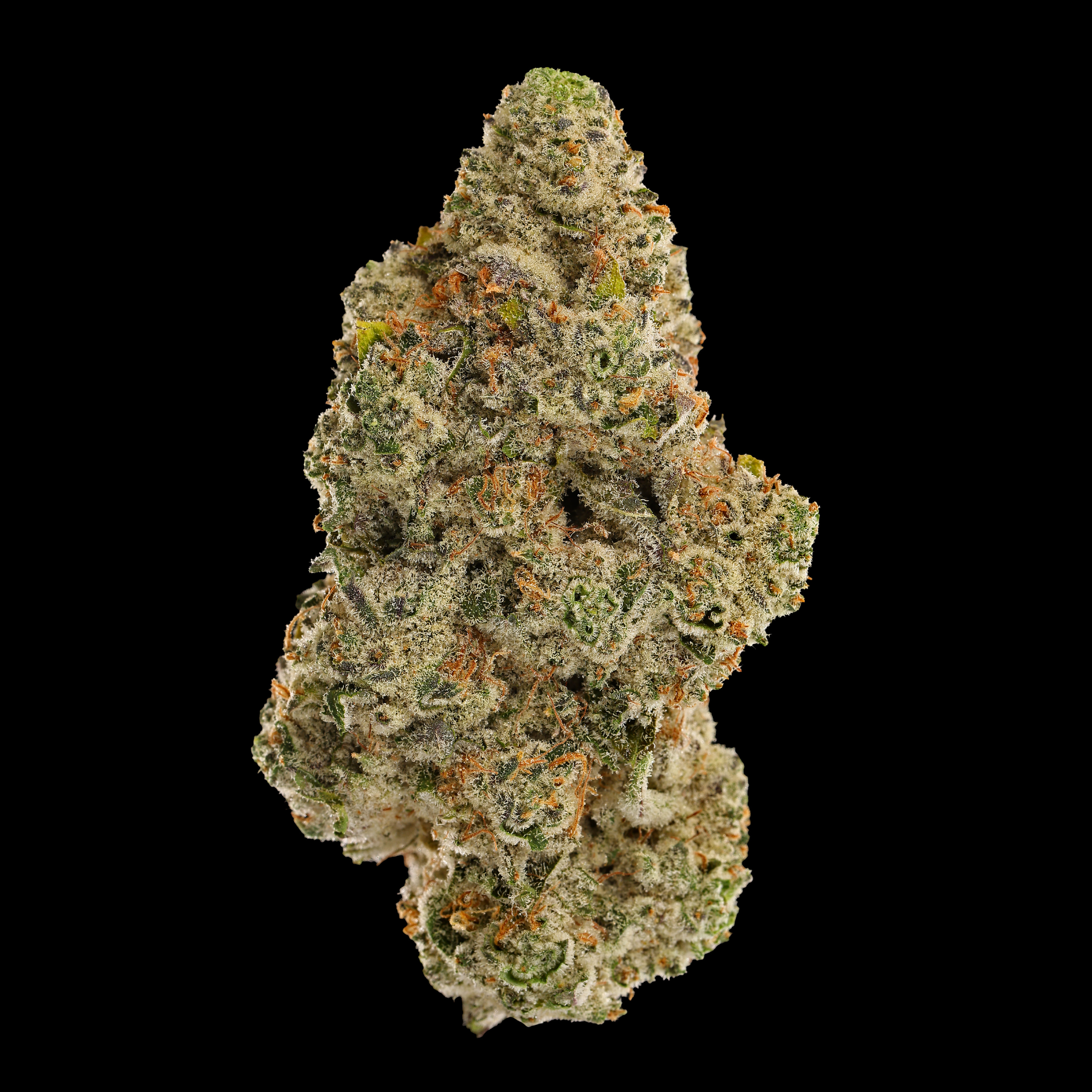 Beyond Blueberry| 3.5g
