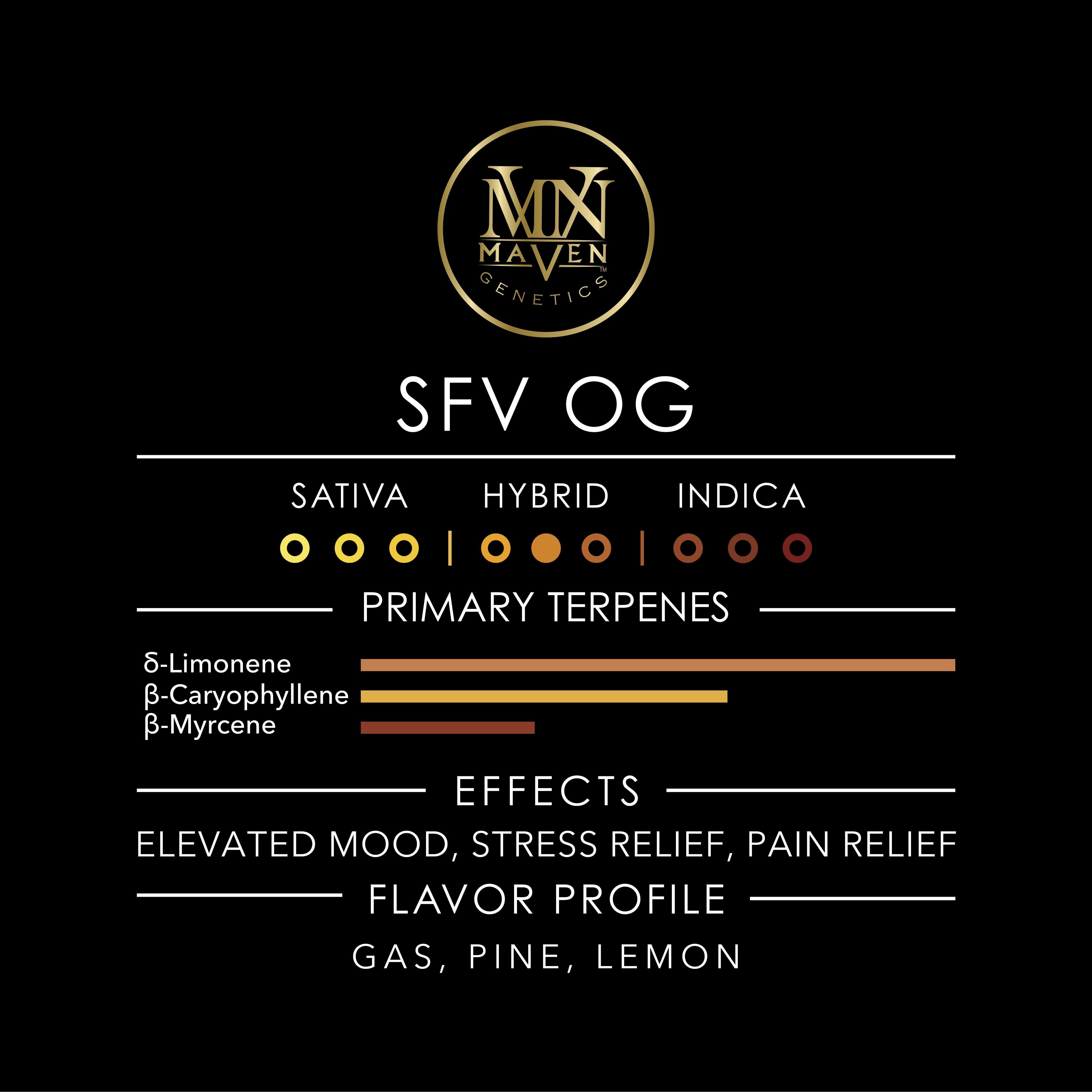 SFV OG [3.5g] - MAVEN GENETICS -  - $38.75 - Flowers