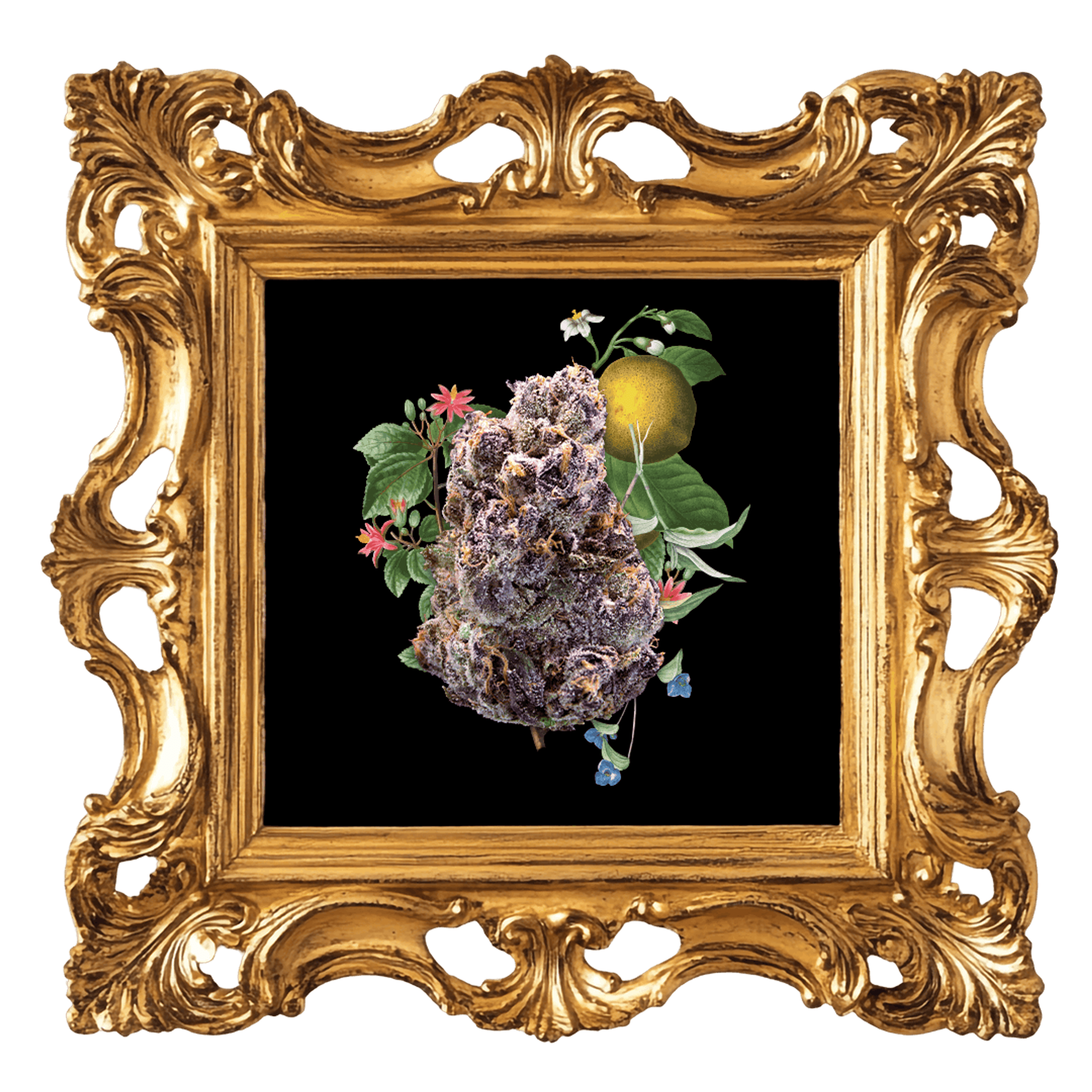 Maraschino Lemon Pop 3.5G - XOTX - - $36 - Flowers