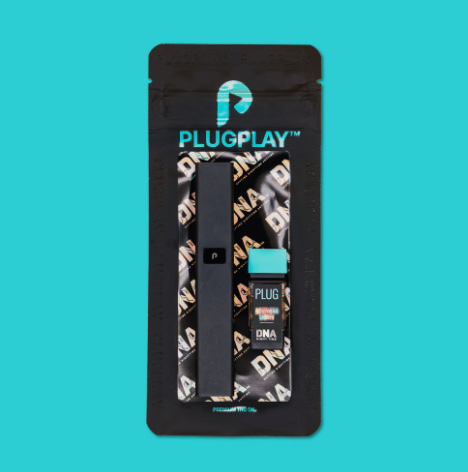 PlugPlay: Play Northern Lights