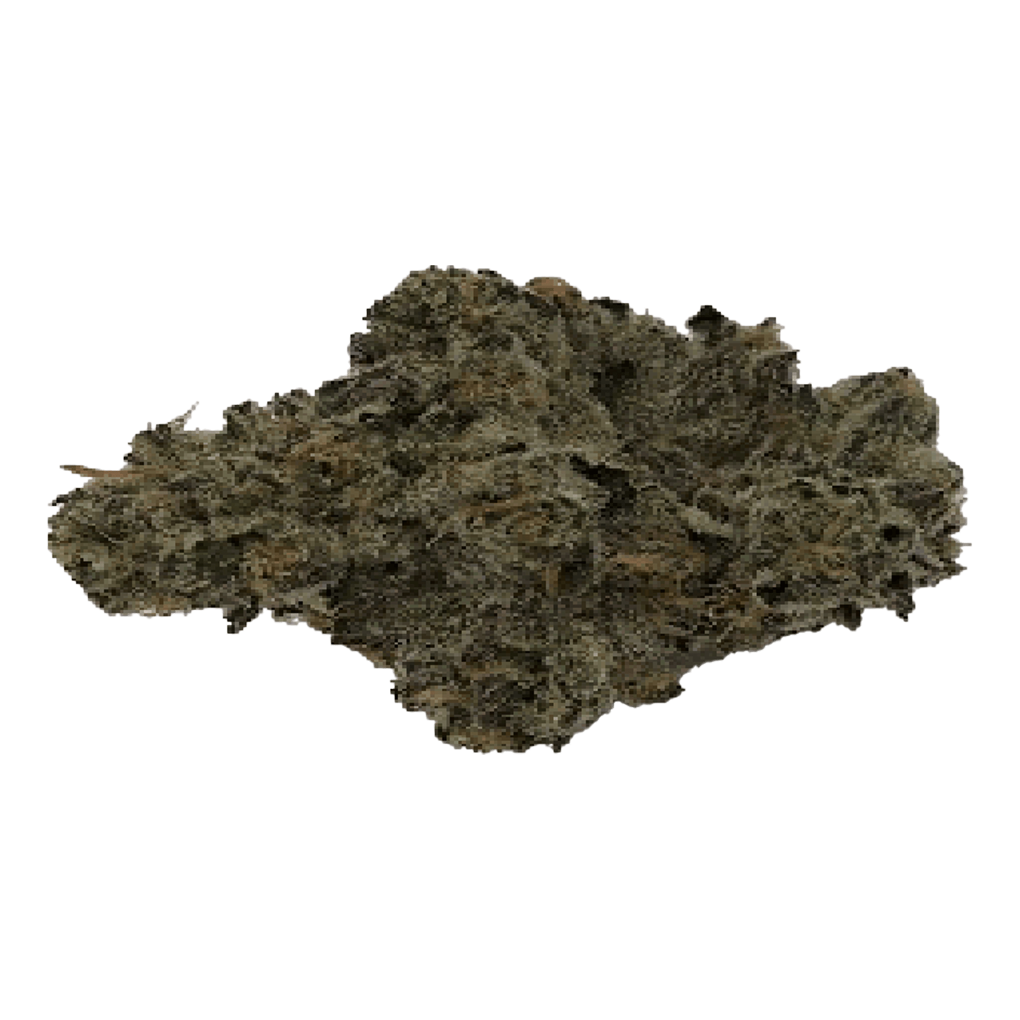 Sherbanger - Jar - Indoor Flower - UpNorth - Eighth - $42.49 - 4mo+ Flower (Date in Description)