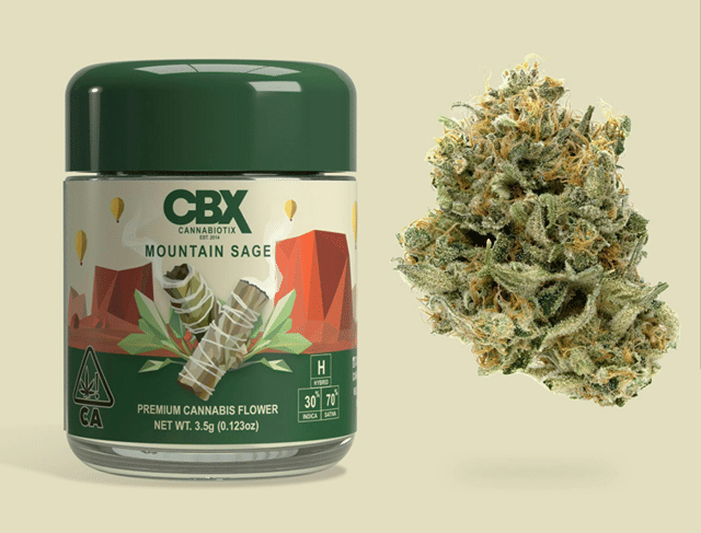 Mountain Sage