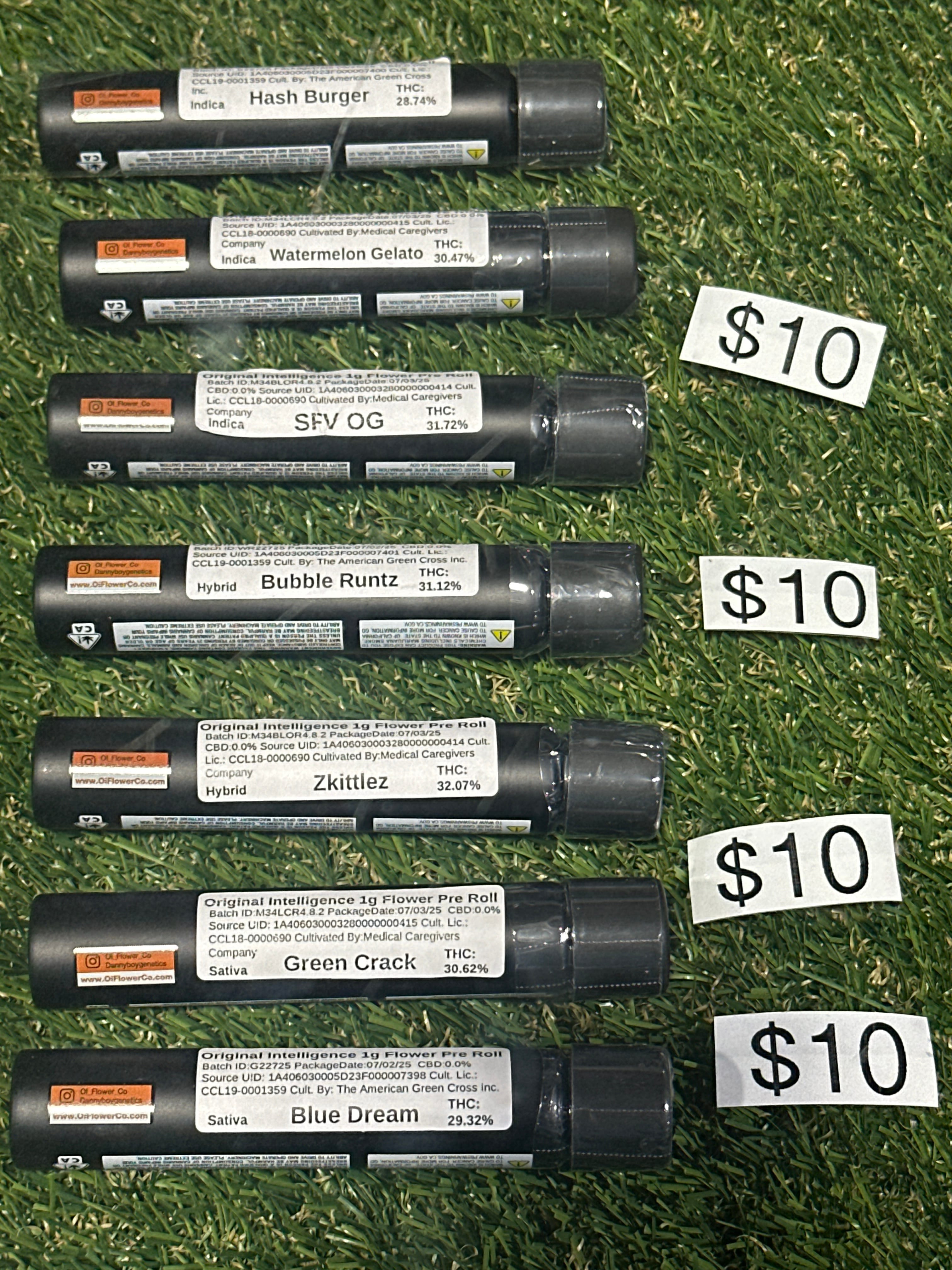 Original Intelligence — 0. Oi Glass Tube Single Strain