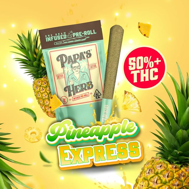 Papa's Herb 1g Infused Preroll - Pineapple Express