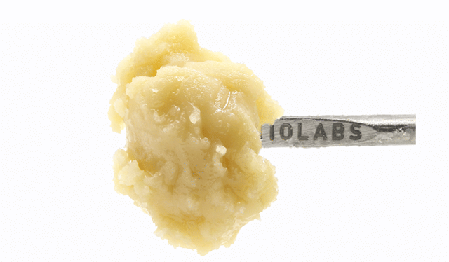 Papaya x Fumez #14 - Persy Rosin Badder - 1g