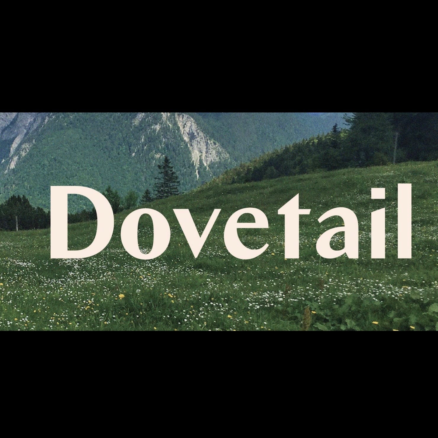 PAPAYA PUNCH 3.5G - DOVETAIL -  - $9.50 - Flowers