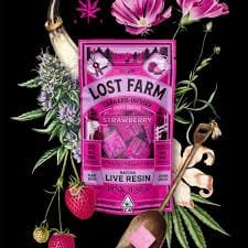 Lost Farms Strawberry x Pink Jesus [10pk] (100mg) - lost farms -  - $20 - Edibles