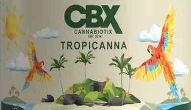 Cannabiotix — Tropicanna - Tin