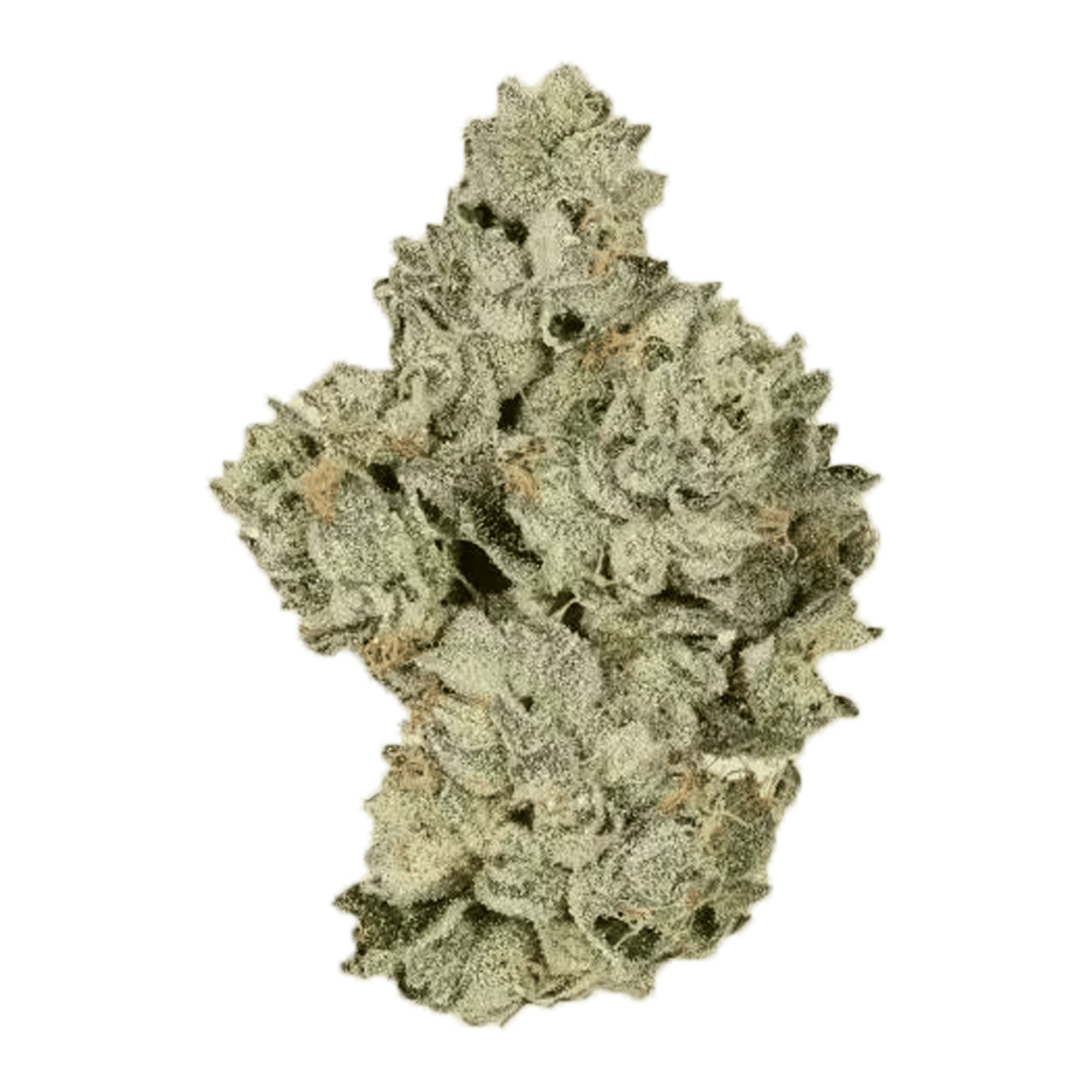 Blue Flame OG - Flower - CBX Cannabiotix - Eighth - $54.99 - Flower