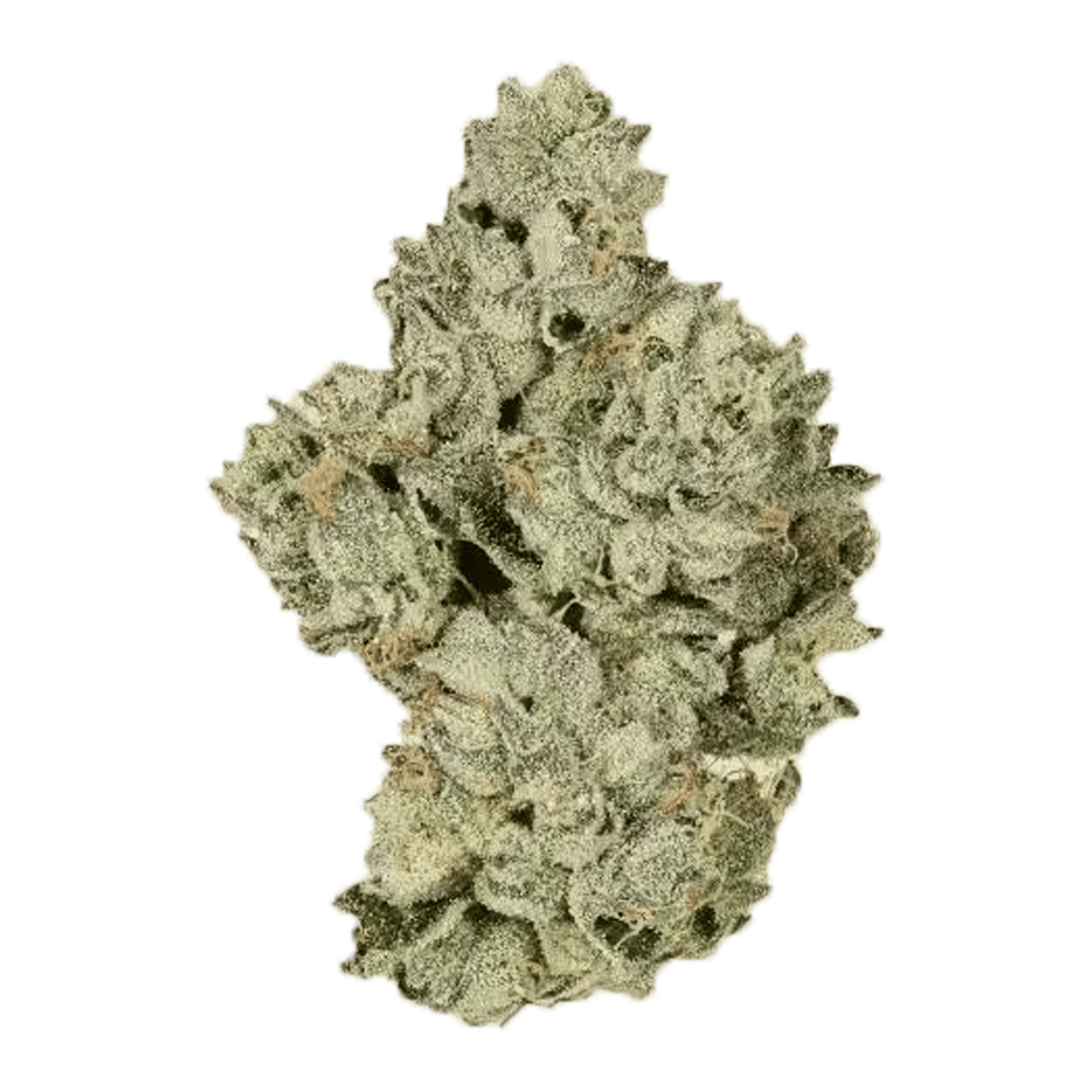 Blue Flame OG - Flower - CBX Cannabiotix - Eighth - $54.99 - Flower