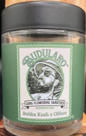 Bubba Kush x OHaze (H) - Budularo - eighth - $25 - Flowers