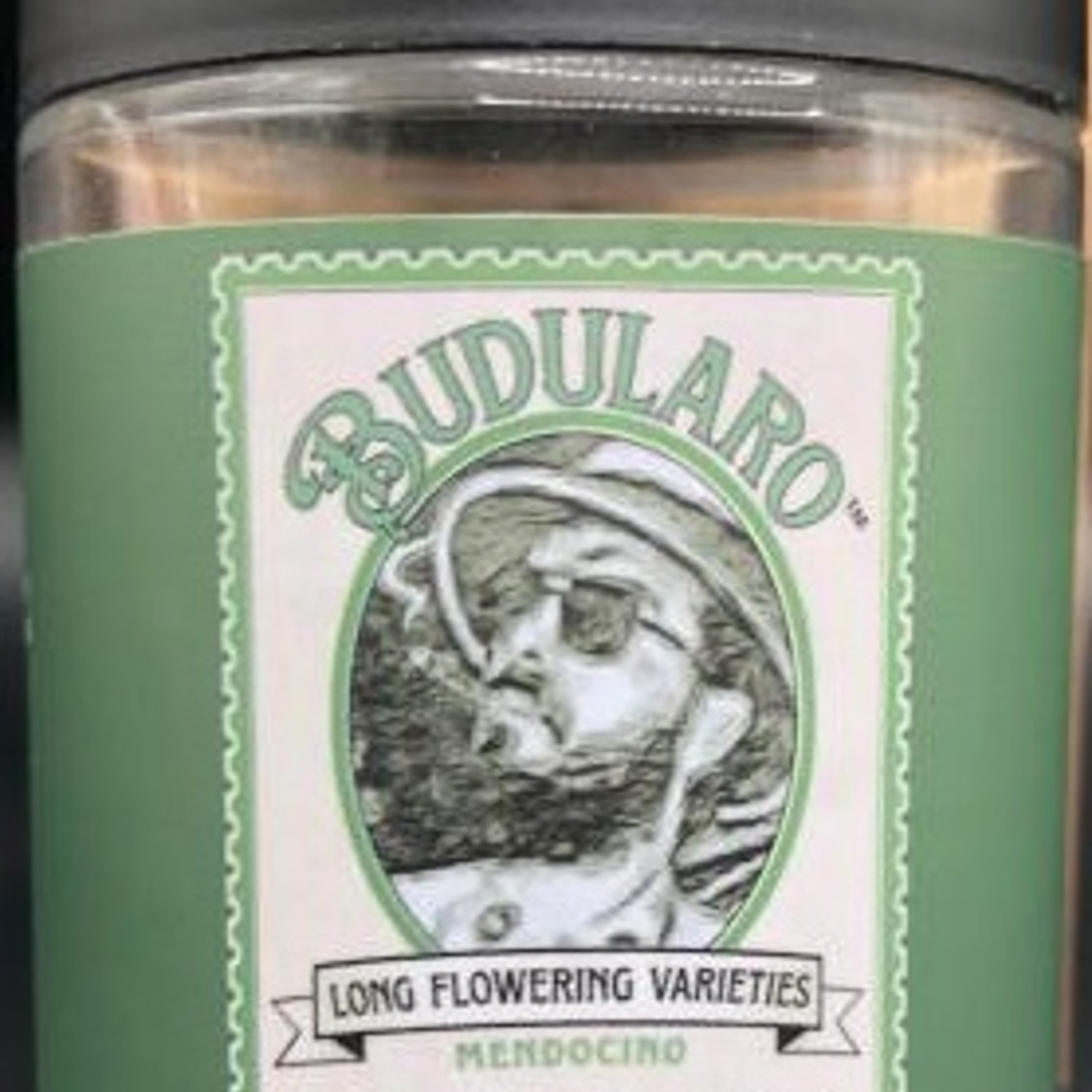 Bubba Kush x OHaze (H) - Budularo - eighth - $25 - Flowers