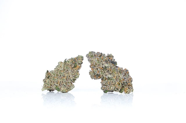 Jedi OG | 14g
