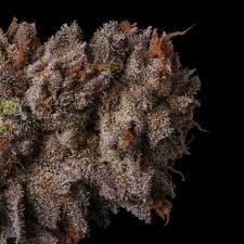 Lemon Cherry Face - Fig Farms - eight - $60 - Flowers