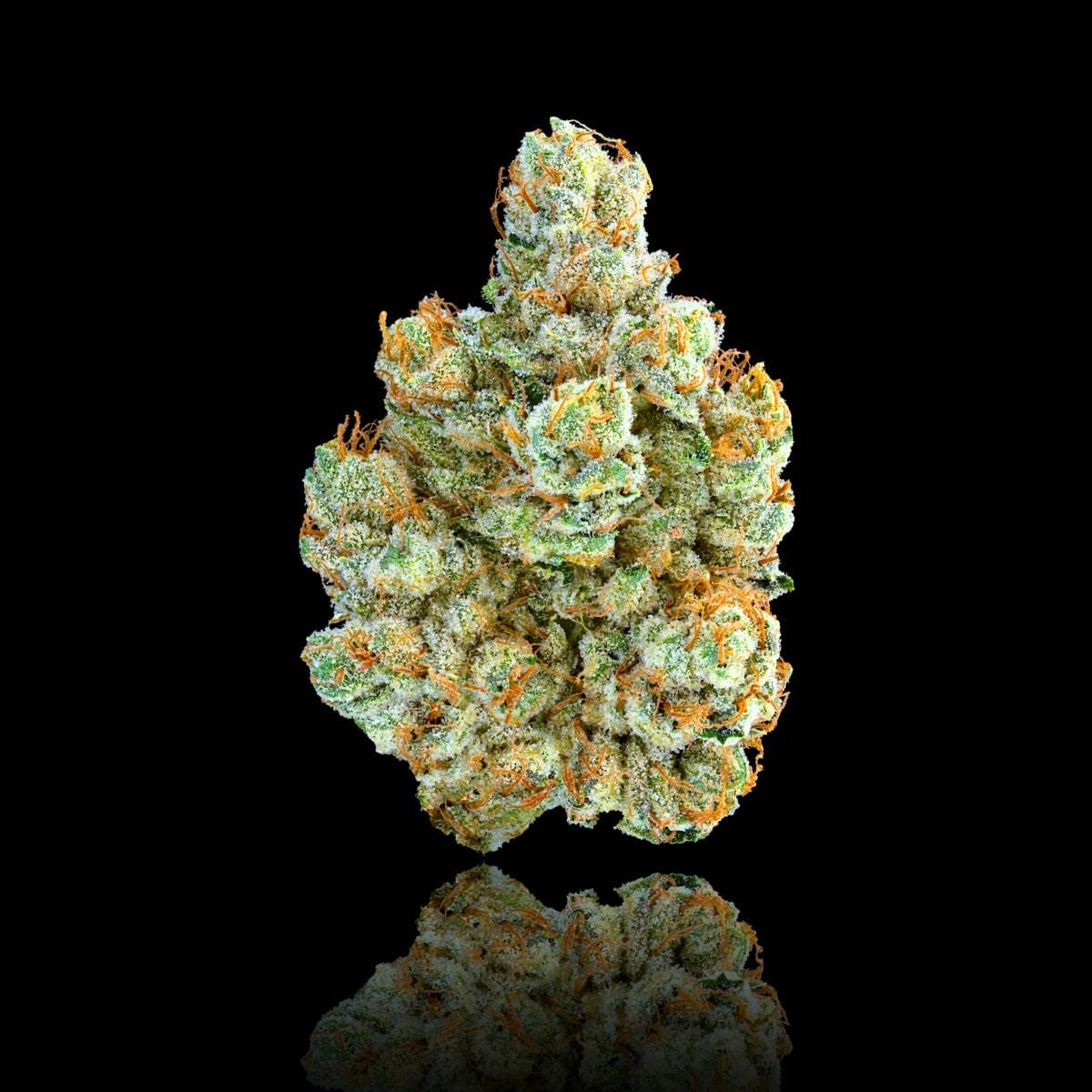 SFV OG [3.5g] - MAVEN GENETICS -  - $38.75 - Flowers