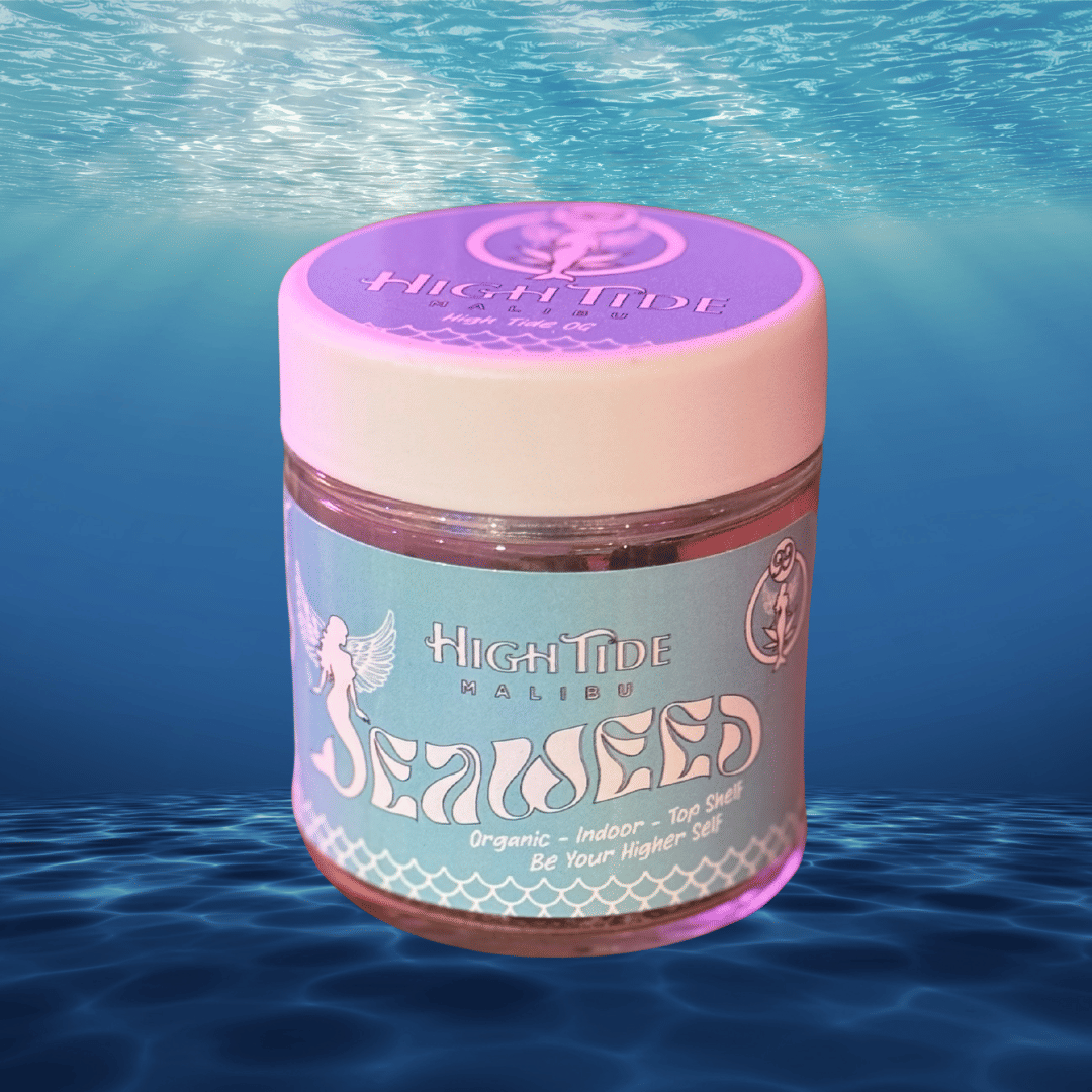 Surfer Jack (S) - 3.5g - Indoor Flower - Seaweed by 99 High Tide -  - $60.99 - Flower