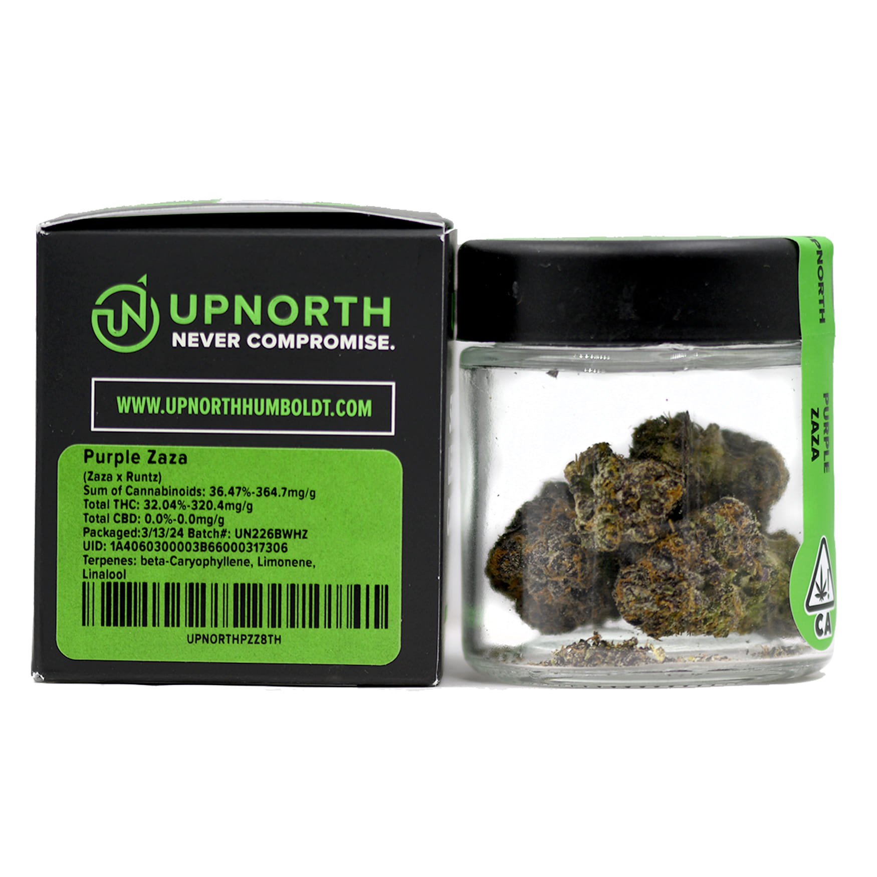 UpNorth: Purple Zaza
