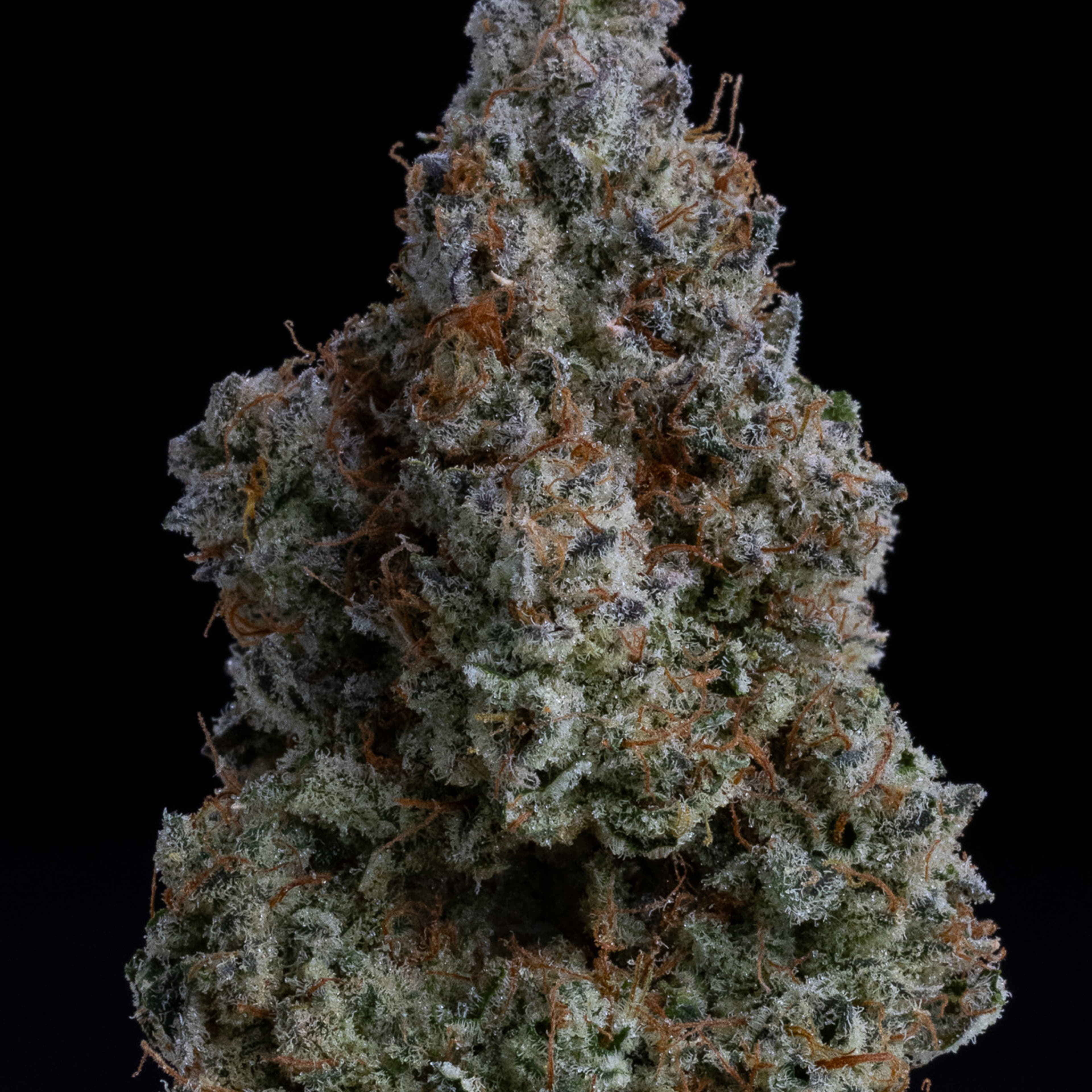 Grumpy Tiger - Wood Wide - eighth - $60 - Flowers