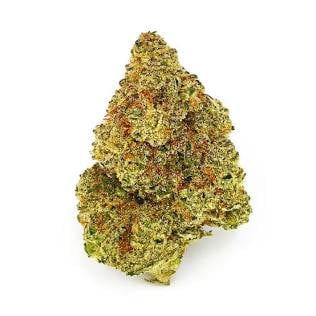 🍍Candy Jack 🌲