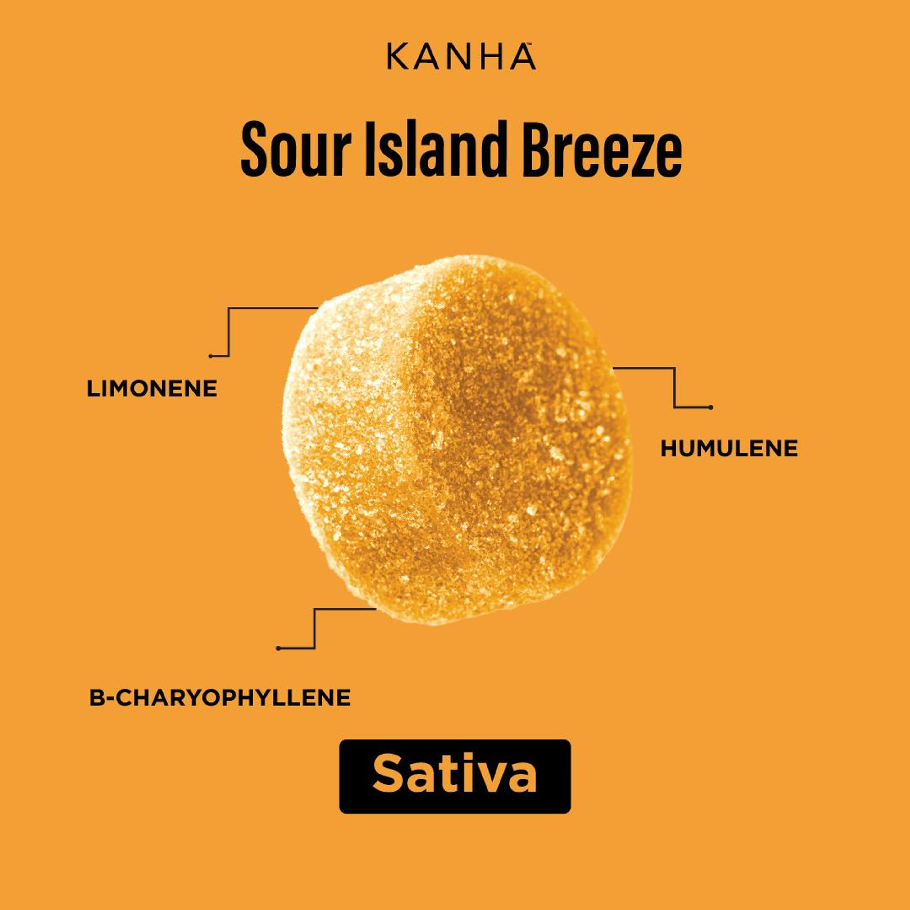 KANHA: Sour Island Breeze Solventless Rosin NANO Vegan Gummies (Sativa) - 100mg - Kanha Gummies - - $25 - Edibles