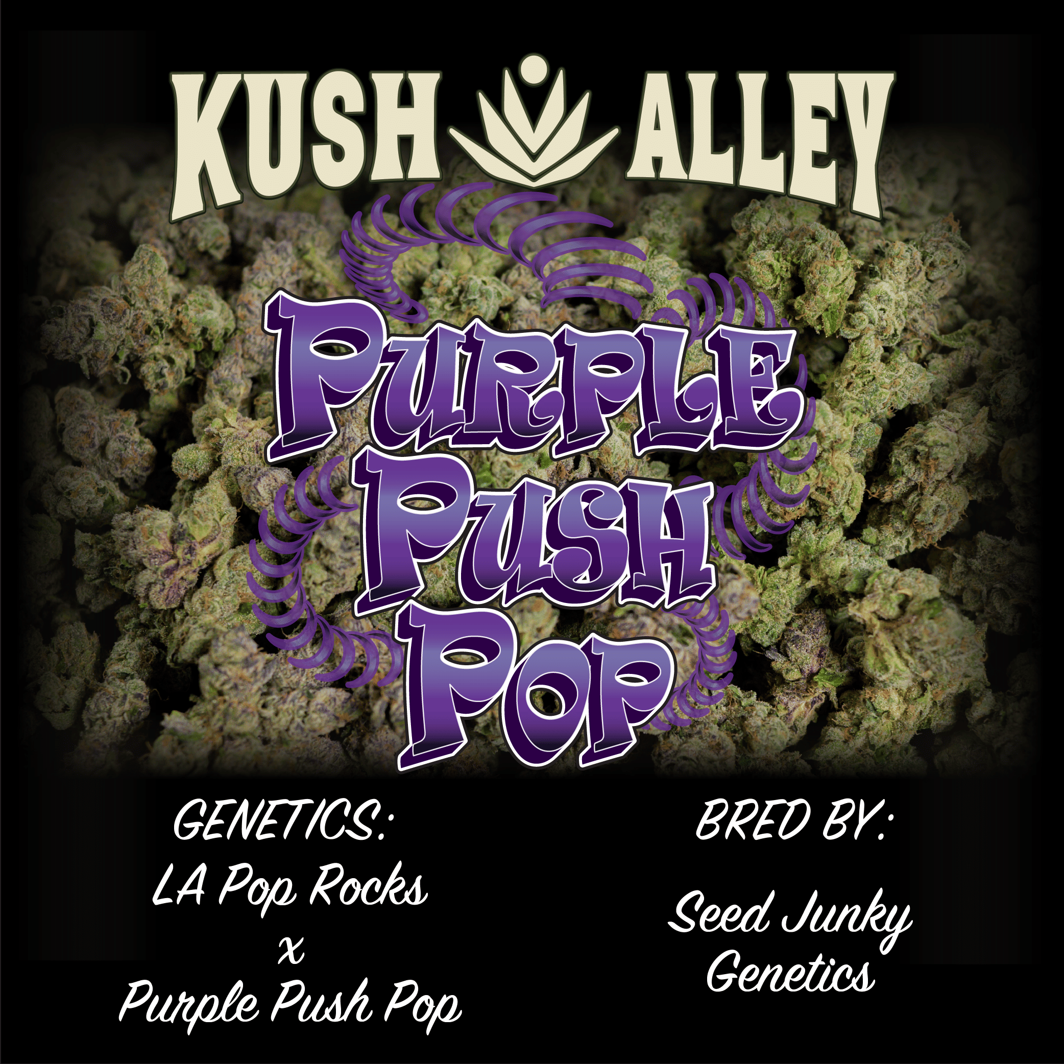 Purple Push Pop - Kush Alley Premium - 4 Grams - $35 - Flower