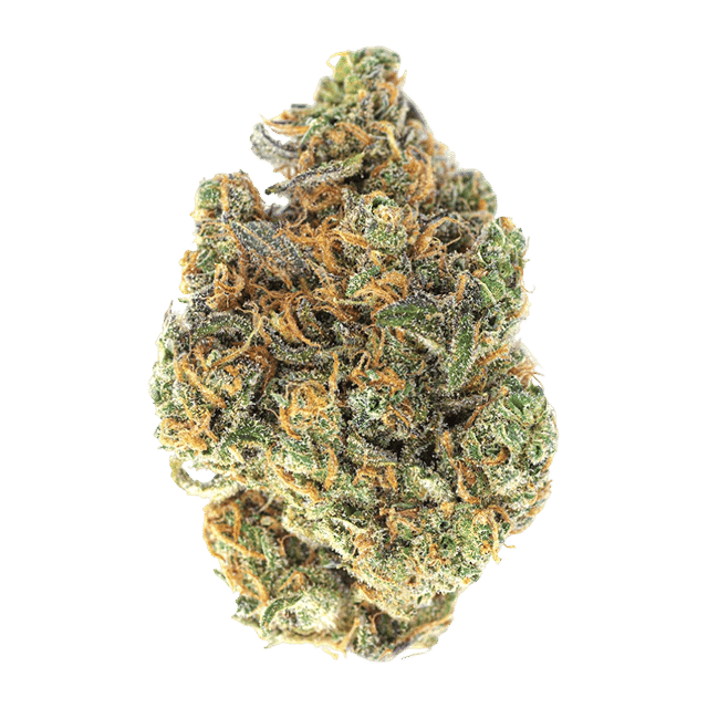 Grape Jack | 3.5g Flower