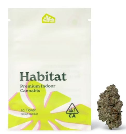 Green Habitat — Dreamland