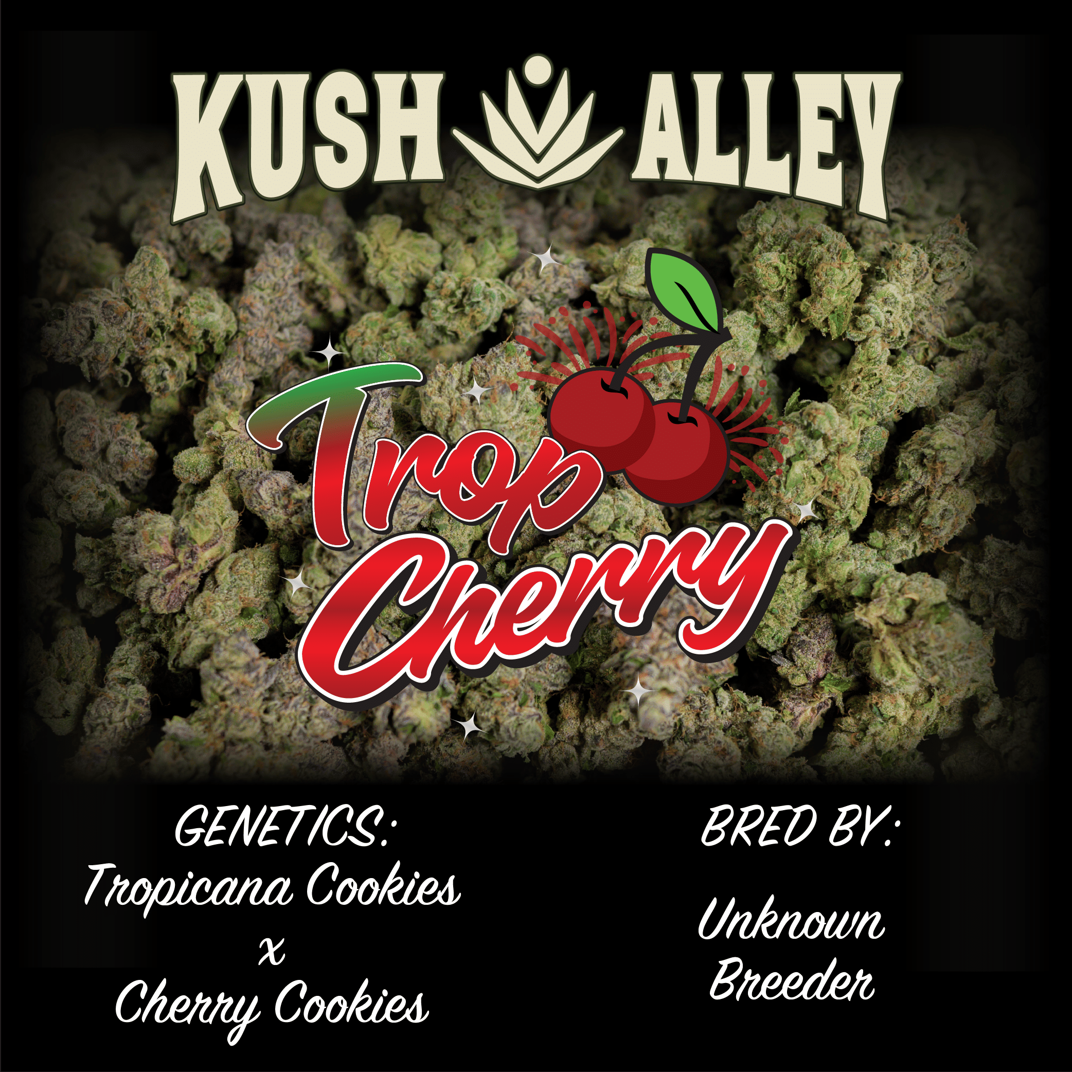 Trop Cherry - Kush Alley Premium - 4 Grams - $35 - Flower