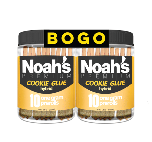 Noah's: 20pk 1g Indoor Pre-Rolls - Cookie Glue - Noah's Premium -  - $69 - Pre-Rolls