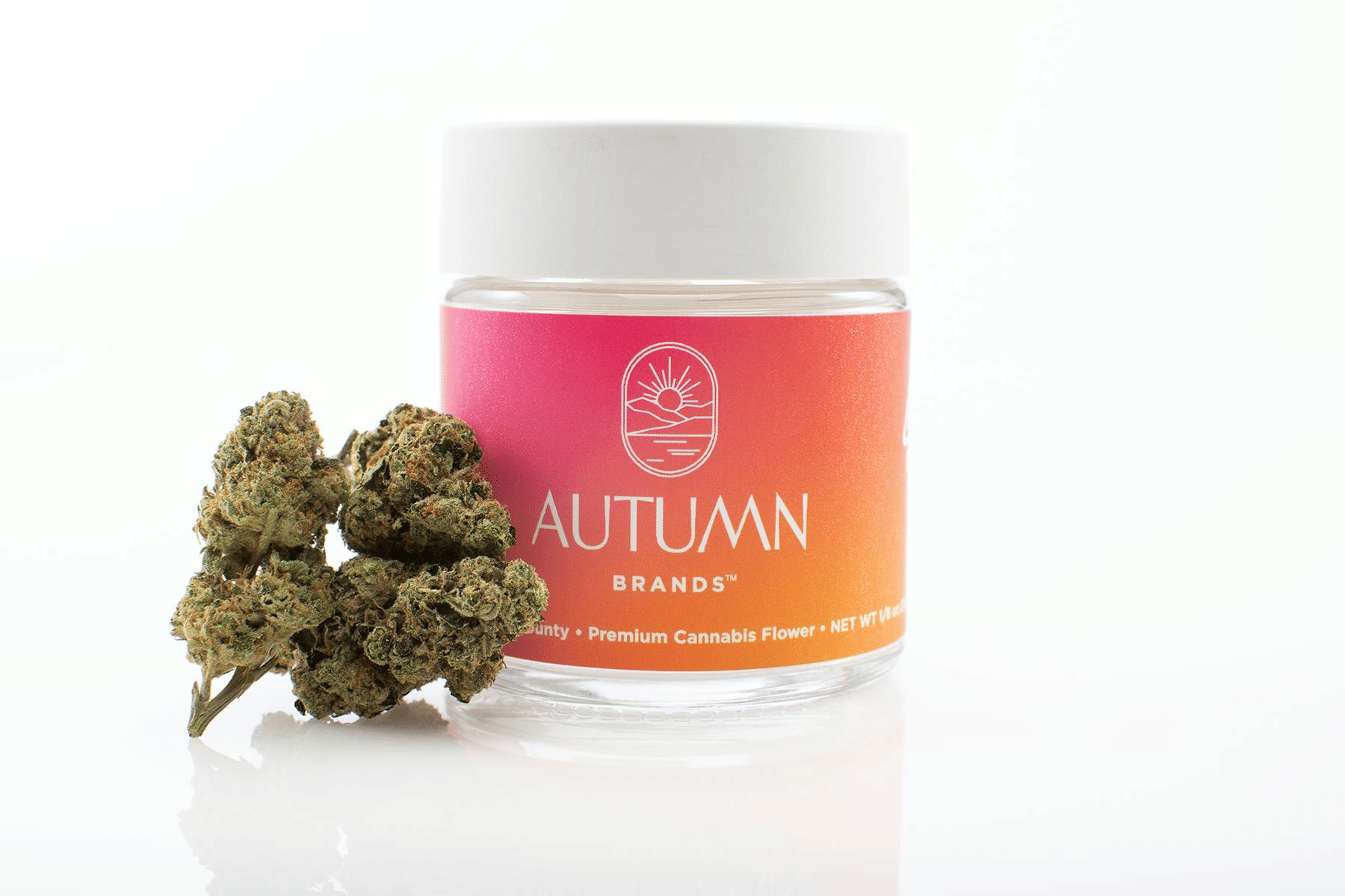 Autumn Brands — Mule Fuel