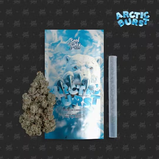 ARCTIC BURST 1g Preroll - Seed Junky -  - $10.20 - Pre-Rolls