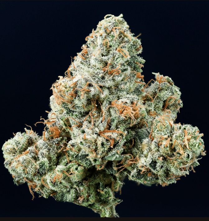 Headbanger - Wood Wide - Headbanger - $60 - Flowers