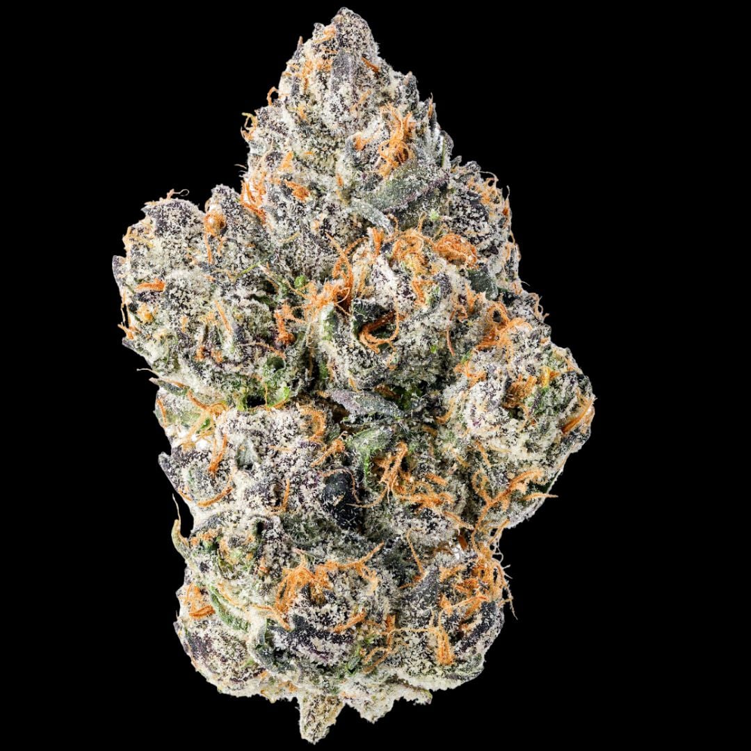 CAM: Blue Cookies