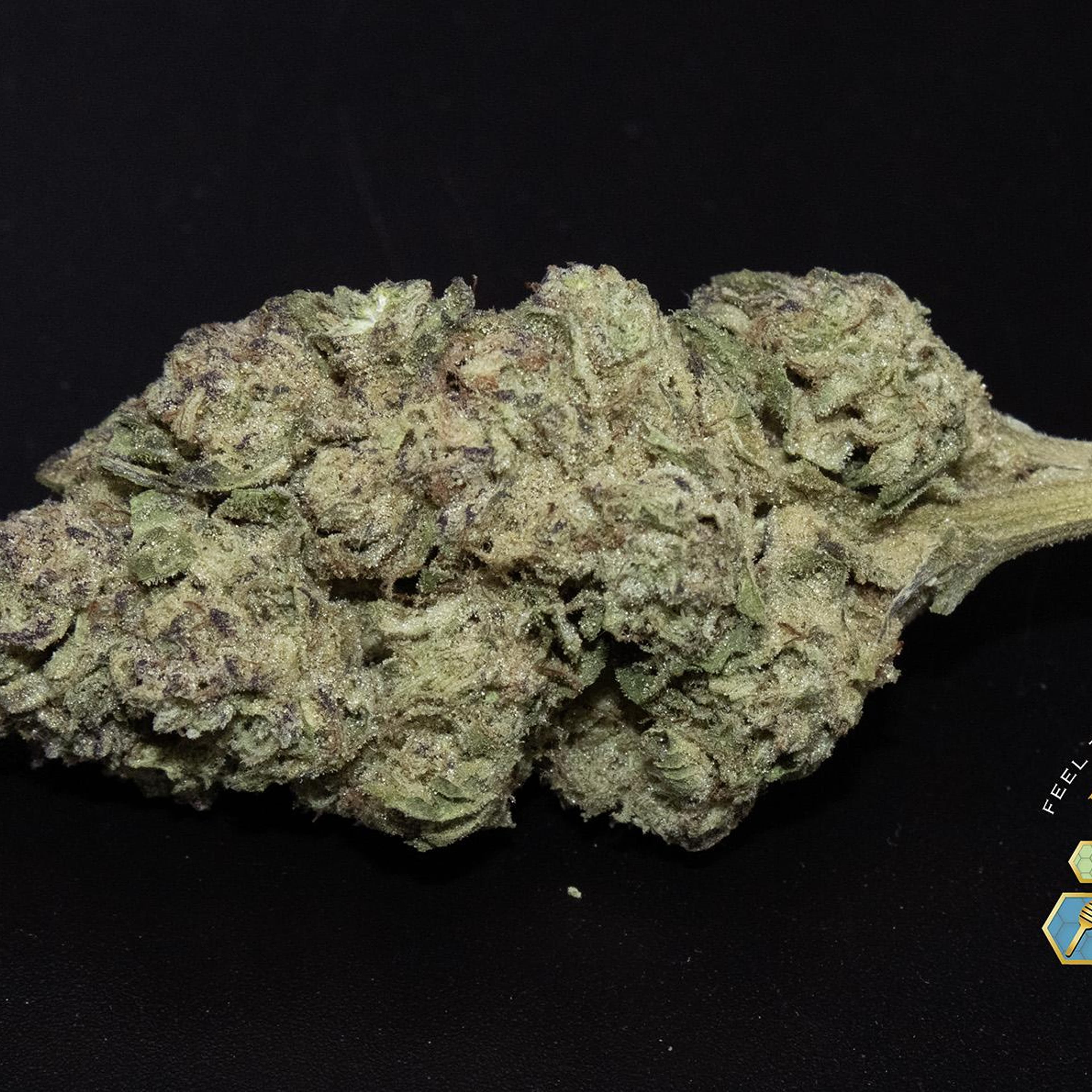 Gush Mints 1/4 ounce - BUZZED - - $25 - Flowers