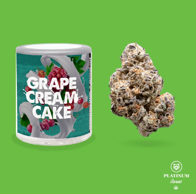 Grape Cream Cake - Platinum Line - 3.5g - Phat Panda -  - $28 - Flowers