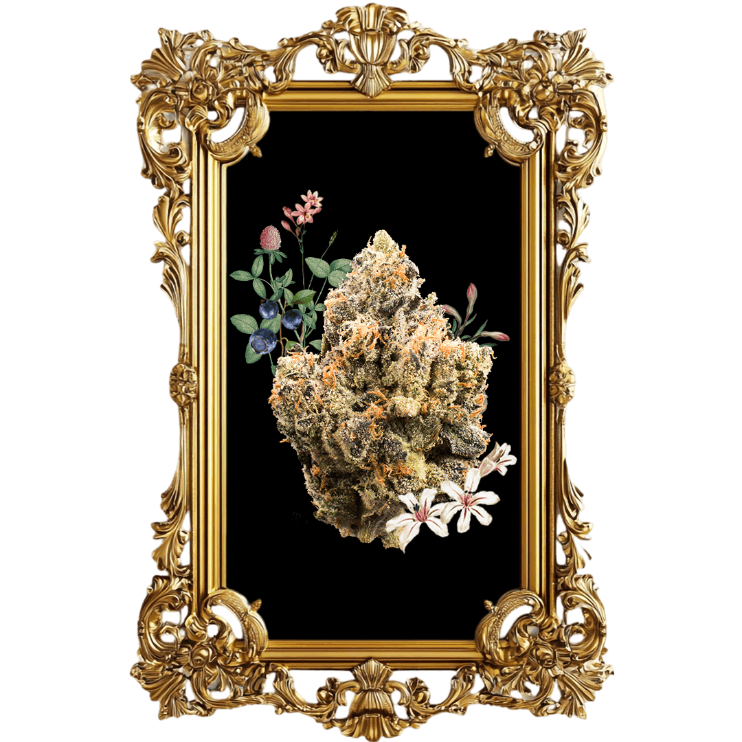 Bubble Gum Runtz 3.5G - XOTX -  - $36.02 - Flowers