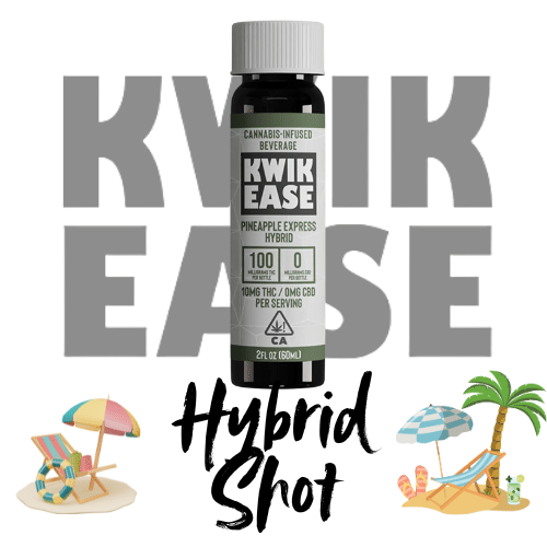 Hybrid Kwik 100Mg Shot