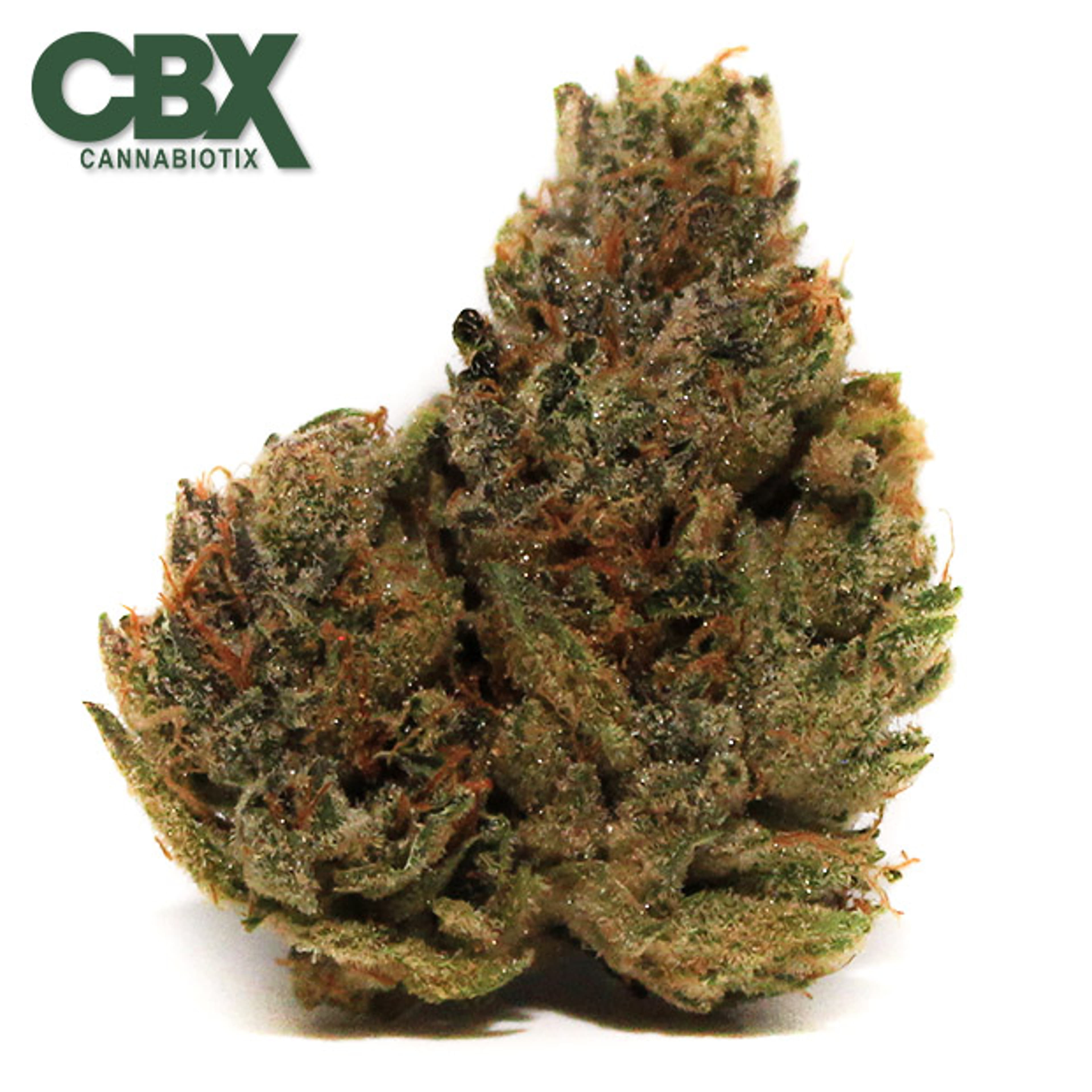 Cannabiotix - Kush Mountains - 3.5g - Cannabiotix - - $49.98 - Indoor Flowers