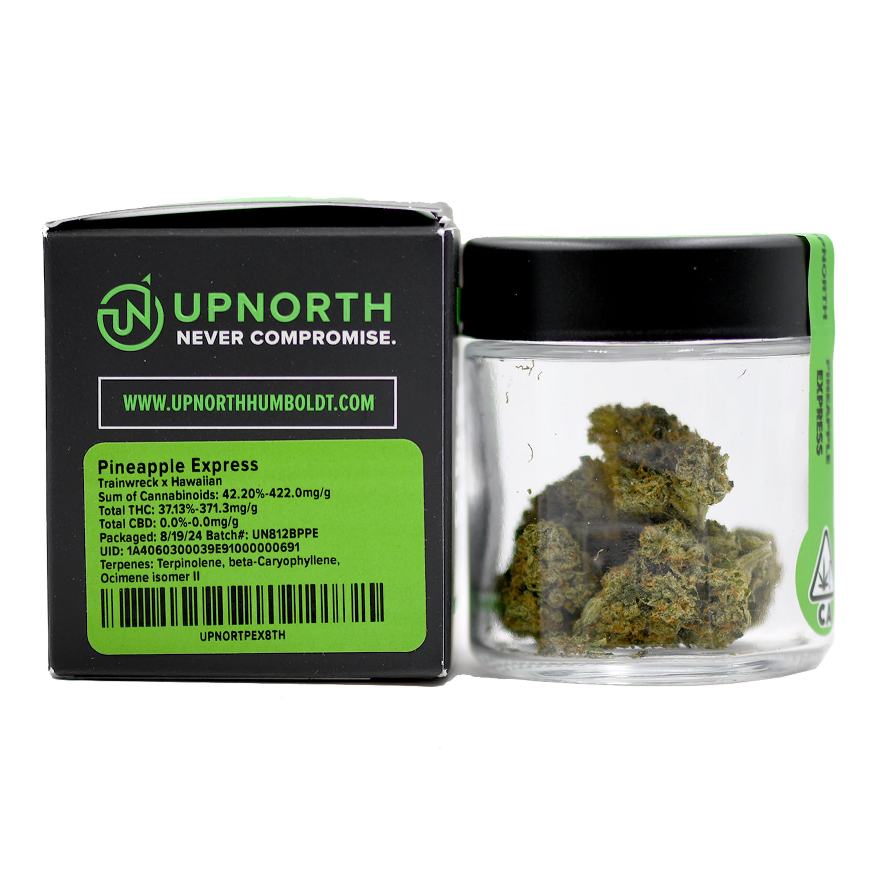UpNorth: Master Kush
