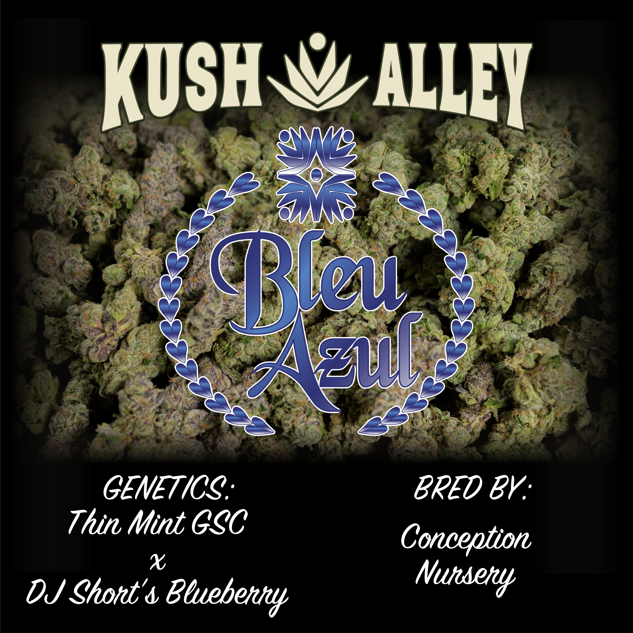 Bleu Azul - Kush Alley Premium - Half Ounce - $70 - Flower