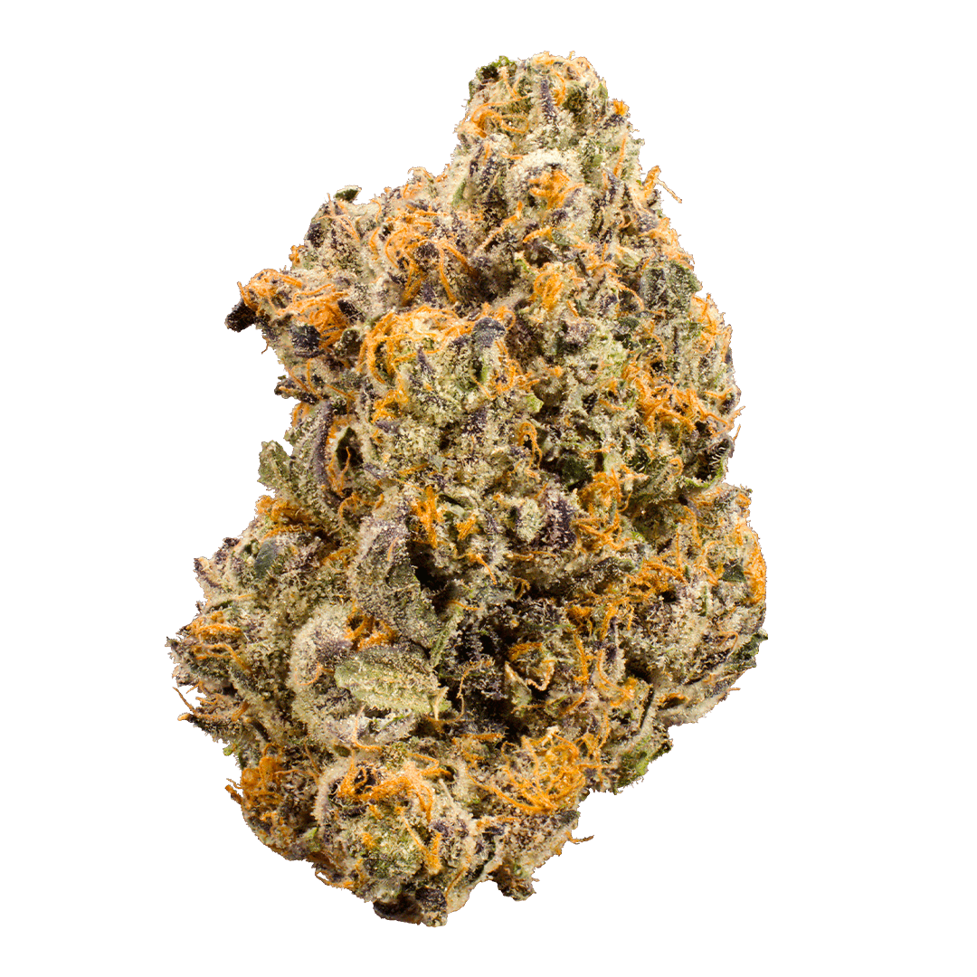 Jet fuel gelato 3.5g - XOTX -  - $36.02 - Flowers