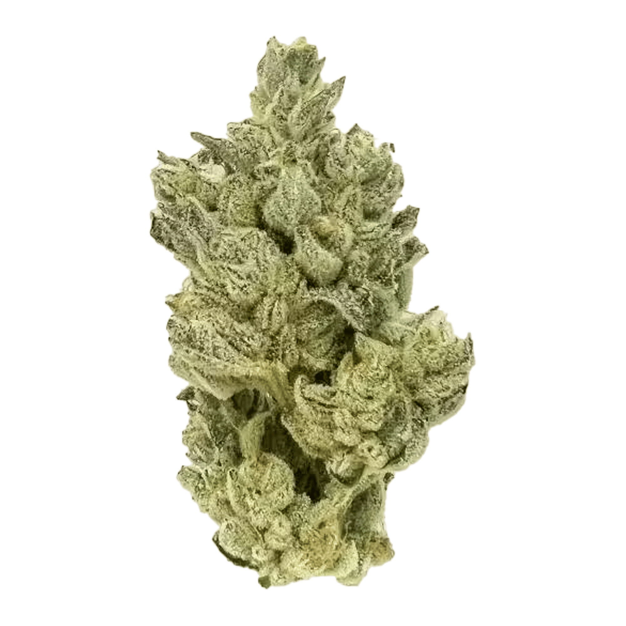 Gluetopia - Flower - CBX Cannabiotix - Eighth - $54.99 - Flower