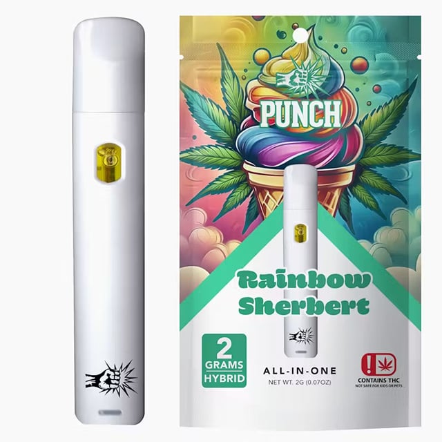 Rainbow Sherbert 2g Disposable