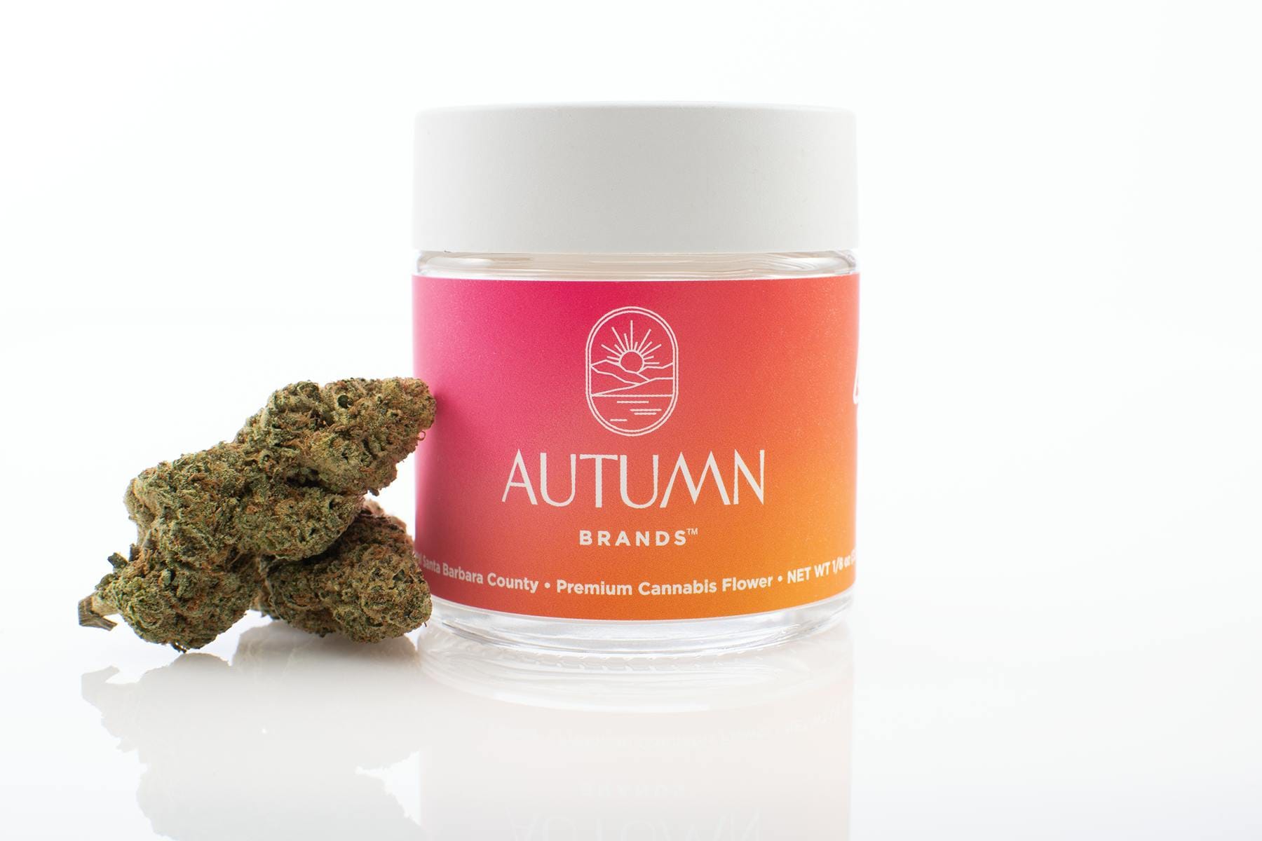Autumn Brands: Mule Fuel