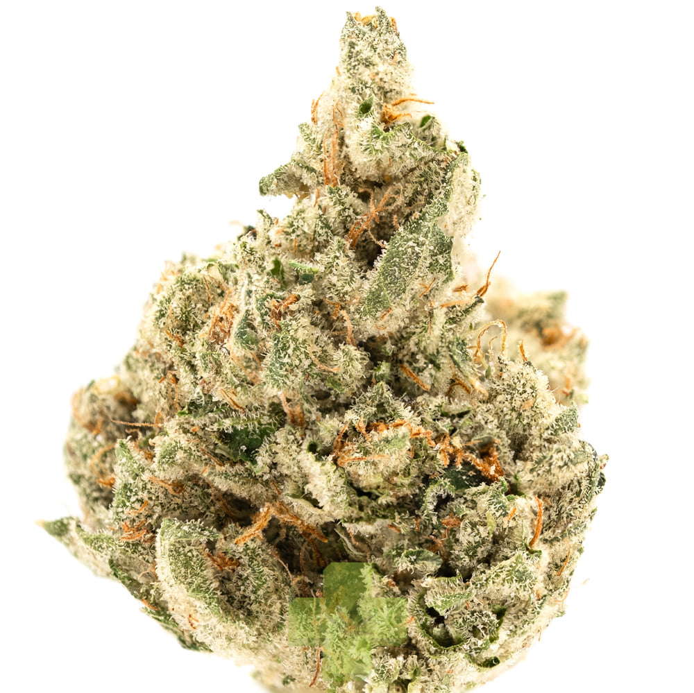 UpNorth: Headband