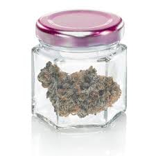 cherrry pie x Limoncello aka TESTERS  |3.5g - Seven Leaves -  - $19.99 - Flowers