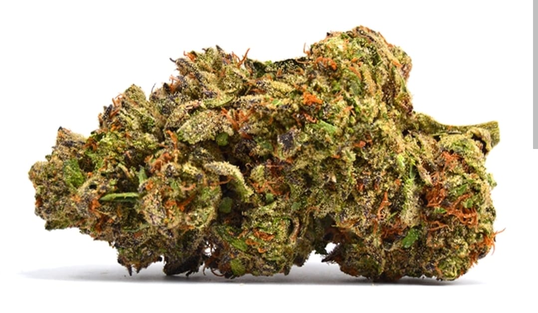 Lemon Cherry Gelato 14g - Dubs Green Garden -  - $99.99 - Flowers
