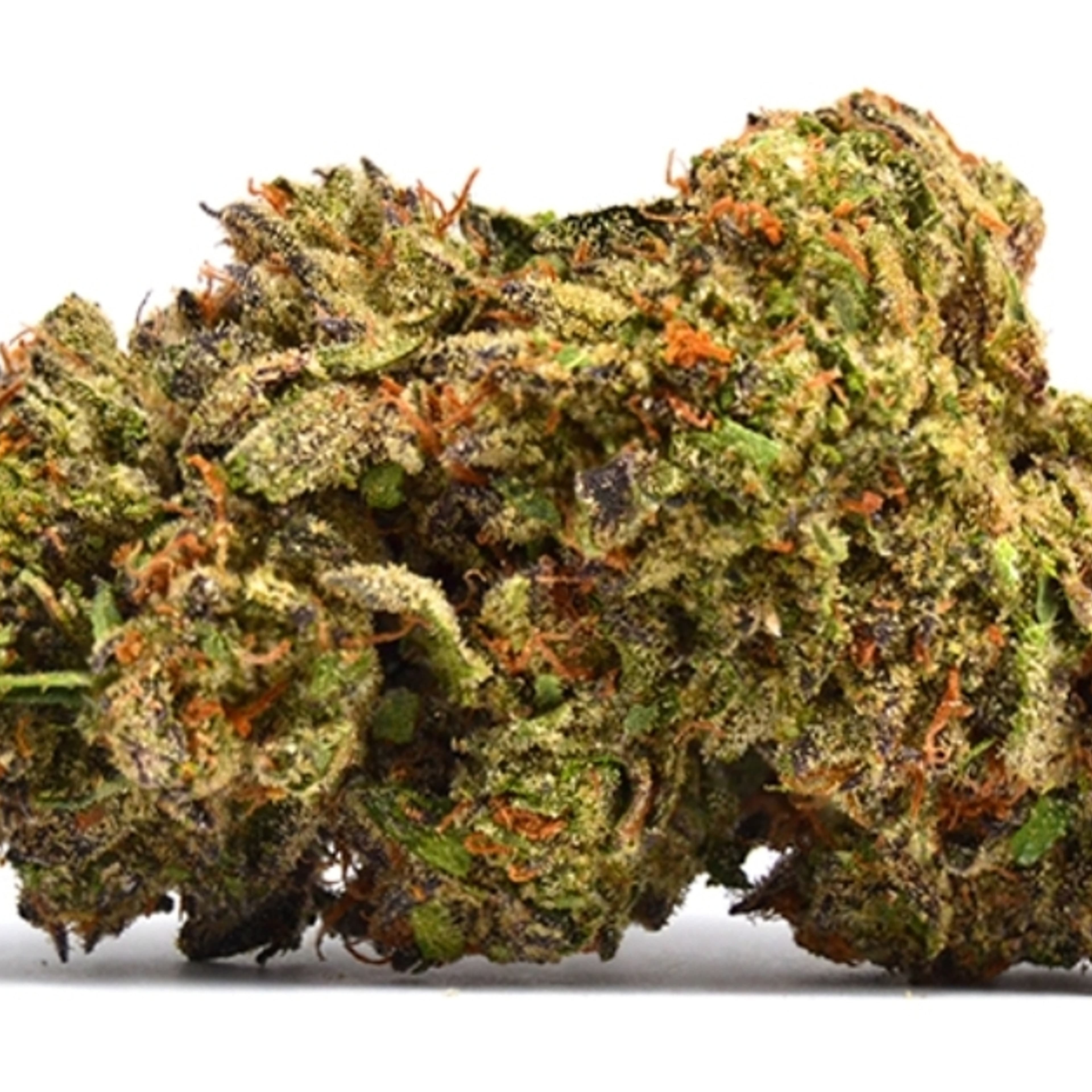 Lemon Cherry Gelato 14g - Dubs Green Garden - - $99.99 - Flowers