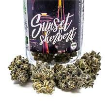 Sunset Sherbet - Platinum Line - 3.5g - Phat Panda -  - $24.99 - Flowers